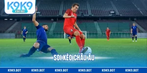 Soi Kèo Châu Âu - Kinh Nghiệm Đọc Tỷ Lệ Chính Xác Nhất